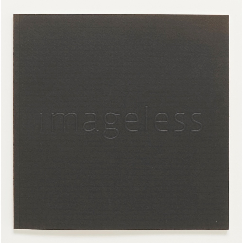 IMAGELESS Scientific Study & Treatment of Ad Reinhardt Black Painting - Stingari